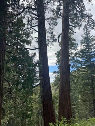 636 35-0002 Mountain Center, Mountain Center, CA 92561