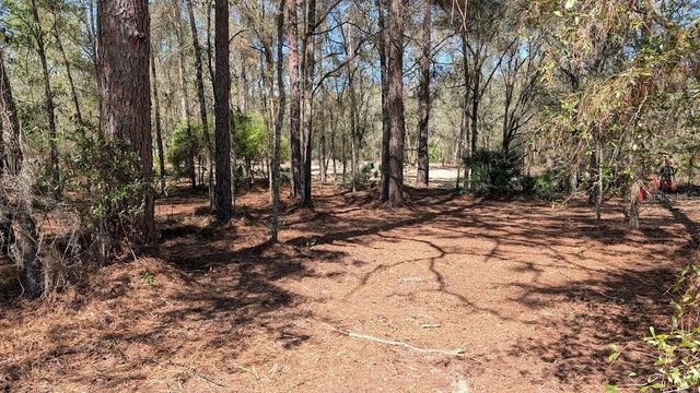 SW 129TH TERRACE, Ocala, FL 34481