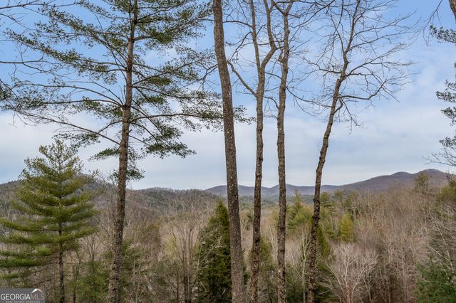 131 Toccoa Overlook Lane, Blue Ridge, GA 30513