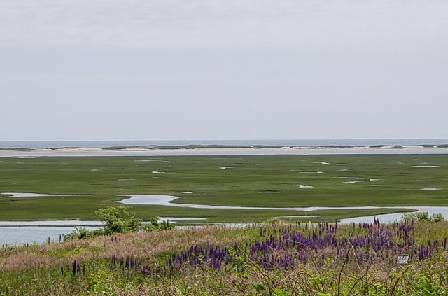 80 Runway Lane, Eastham, MA 02642