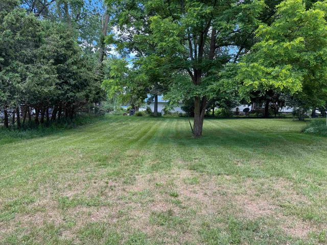 225 N Hayes Street, Farwell, MI 48622