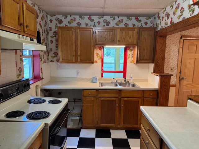 225 N Hayes Street, Farwell, MI 48622