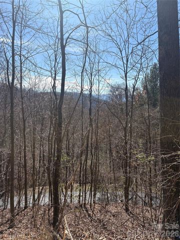 344 Running Deer Lane 71, Mars Hill, NC 28754
