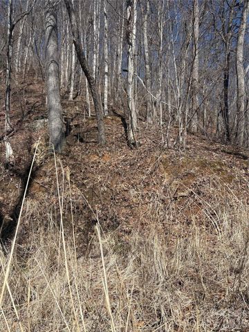 344 Running Deer Lane 71, Mars Hill, NC 28754