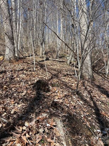 344 Running Deer Lane 71, Mars Hill, NC 28754