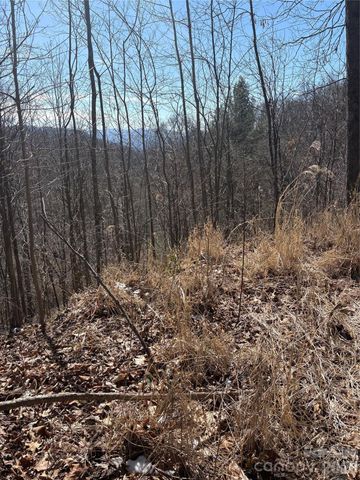 344 Running Deer Lane 71, Mars Hill, NC 28754