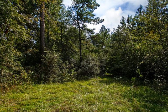 10.25 Acres CR 209, Plantersville, TX 77363