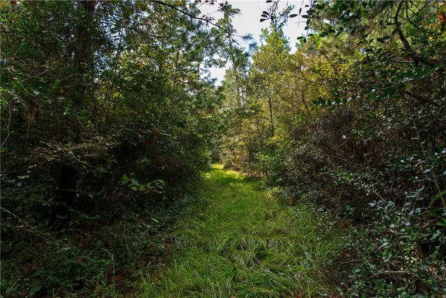 10.25 Acres CR 209, Plantersville, TX 77363
