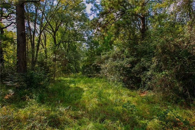 10.25 Acres CR 209, Plantersville, TX 77363