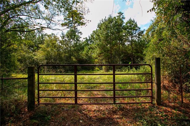 10.25 Acres CR 209, Plantersville, TX 77363