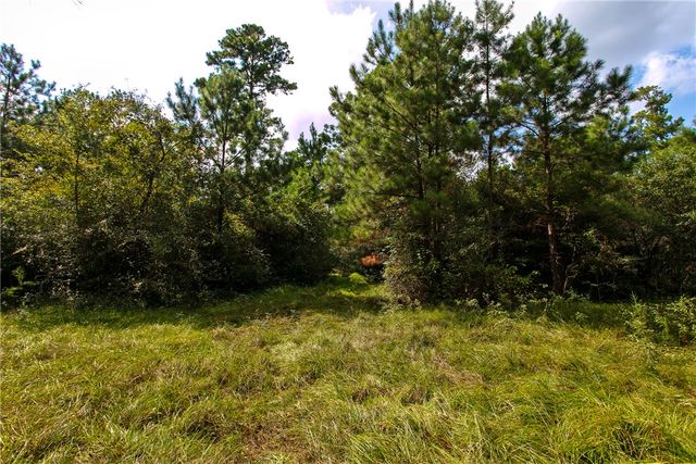 10.25 Acres CR 209, Plantersville, TX 77363