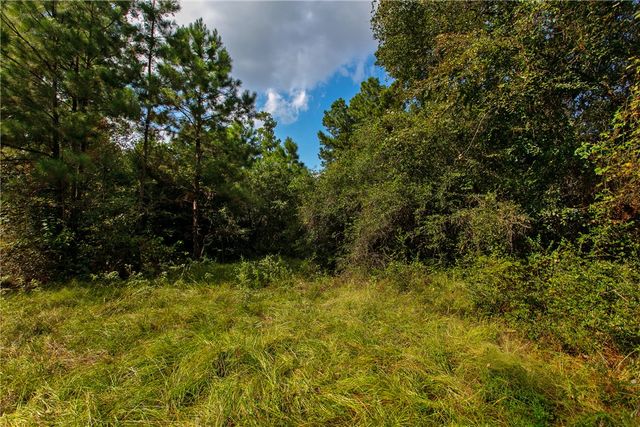 10.25 Acres CR 209, Plantersville, TX 77363
