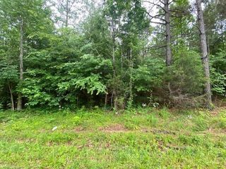 0 Red Bud Circle, Big Sandy, TN 38221
