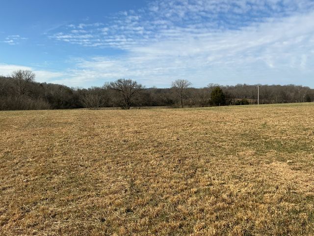 0 Three Forks Bridge Rd, Wartrace, TN 37183