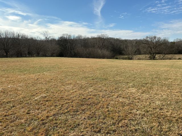 0 Three Forks Bridge Rd, Wartrace, TN 37183