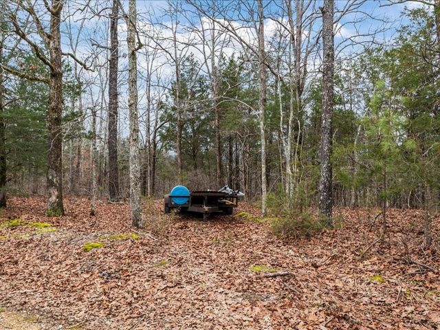 40 Long Point Rd, Linden, TN 37096