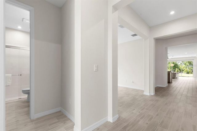 33410 CASTAWAY LOOP, Wesley Chapel, FL 33543
