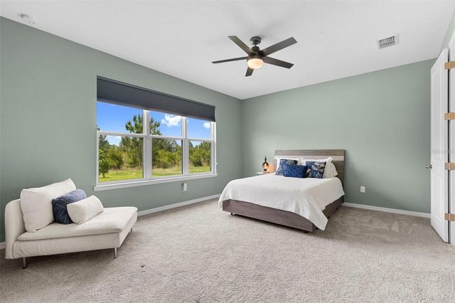 33410 CASTAWAY LOOP, Wesley Chapel, FL 33543