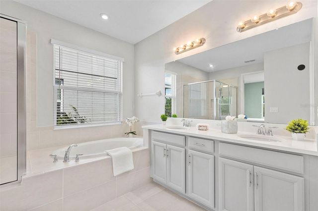 33410 CASTAWAY LOOP, Wesley Chapel, FL 33543