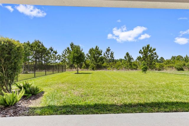 33410 CASTAWAY LOOP, Wesley Chapel, FL 33543