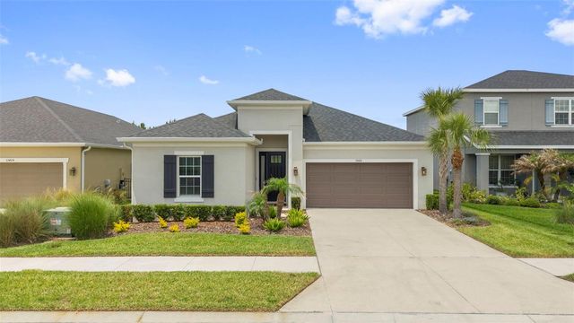 33410 CASTAWAY LOOP, Wesley Chapel, FL 33543