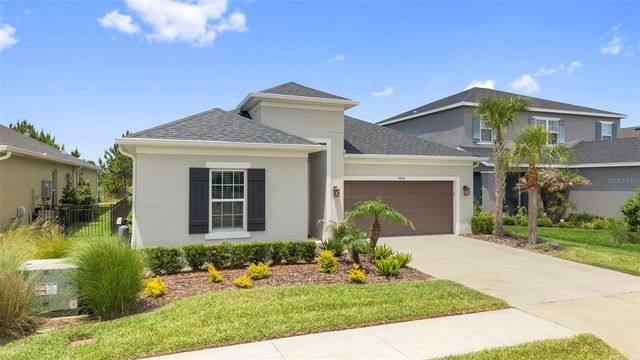 33410 CASTAWAY LOOP, Wesley Chapel, FL 33543