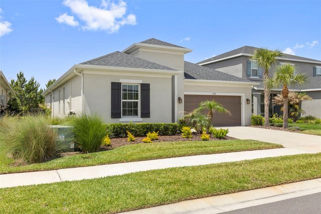 33410 CASTAWAY LOOP, Wesley Chapel, FL 33543