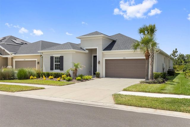 33410 CASTAWAY LOOP, Wesley Chapel, FL 33543