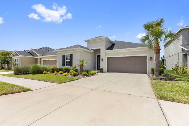 33410 CASTAWAY LOOP, Wesley Chapel, FL 33543