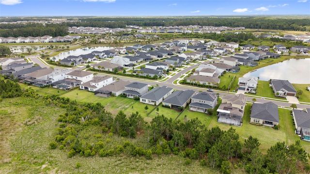 33410 CASTAWAY LOOP, Wesley Chapel, FL 33543