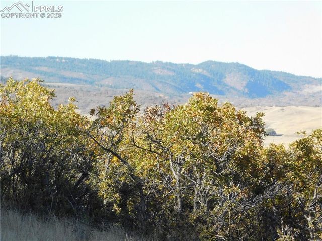 5498 Country Club Drive, Larkspur, CO 80118
