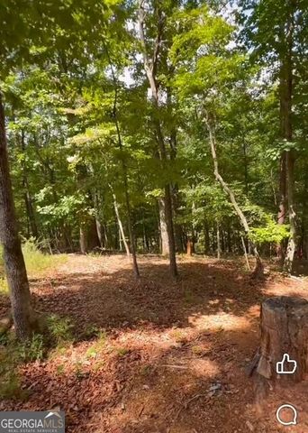 0 Rusty G Place, Dawsonville, GA 30534