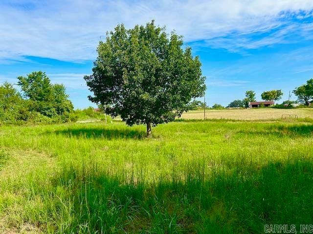 11099 14 Highway, Big Flat, AR 72617