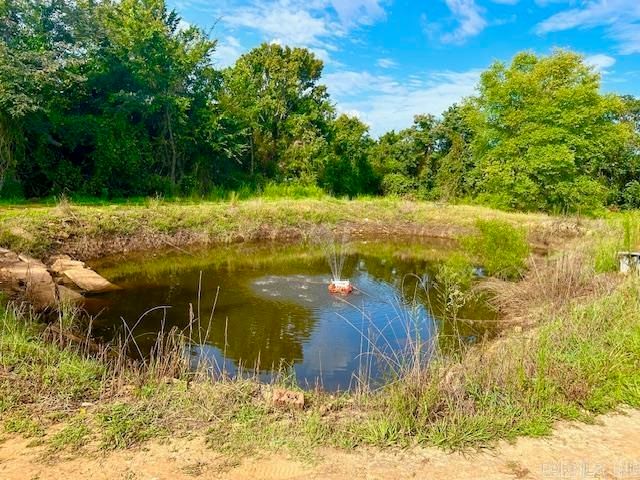 11099 14 Highway, Big Flat, AR 72617