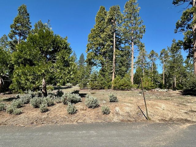 40730 Sierra Violet Lane, Shaver Lake, CA 93664