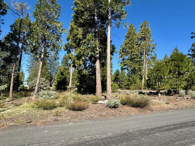 40730 Sierra Violet Lane, Shaver Lake, CA 93664