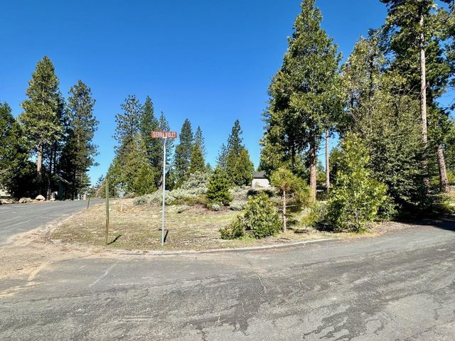 40730 Sierra Violet Lane, Shaver Lake, CA 93664