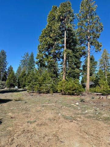 40730 Sierra Violet Lane, Shaver Lake, CA 93664