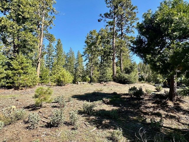 40730 Sierra Violet Lane, Shaver Lake, CA 93664