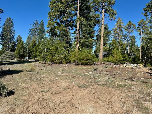 40730 Sierra Violet Lane, Shaver Lake, CA 93664