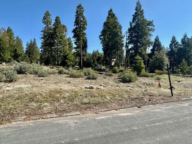 40730 Sierra Violet Lane, Shaver Lake, CA 93664