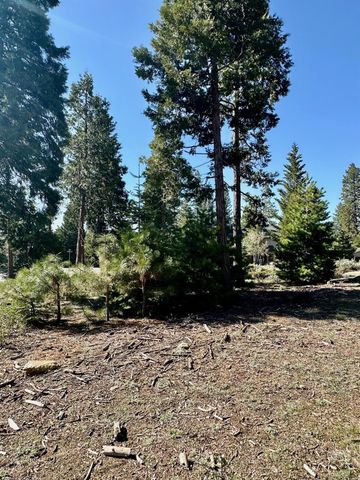 40730 Sierra Violet Lane, Shaver Lake, CA 93664