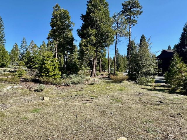 40730 Sierra Violet Lane, Shaver Lake, CA 93664