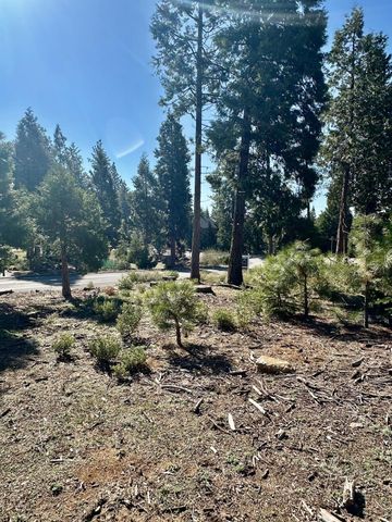 40730 Sierra Violet Lane, Shaver Lake, CA 93664