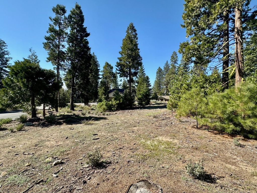 40730 Sierra Violet Lane, Shaver Lake, CA 93664