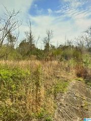 369 KELLEY DRIVE, Kimberly, AL 35091