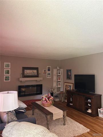 823 County Road 4253, Salem, MO 65560