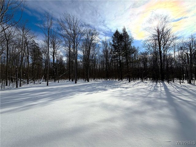 595 Seneca Road, Evans, NY 14006