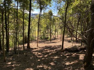 1915 Sedberry Rd, Thompsons Station, TN 37179