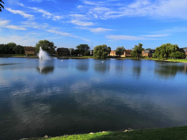 9368 BAY COLONY Drive 2S, Des Plaines, IL 60016